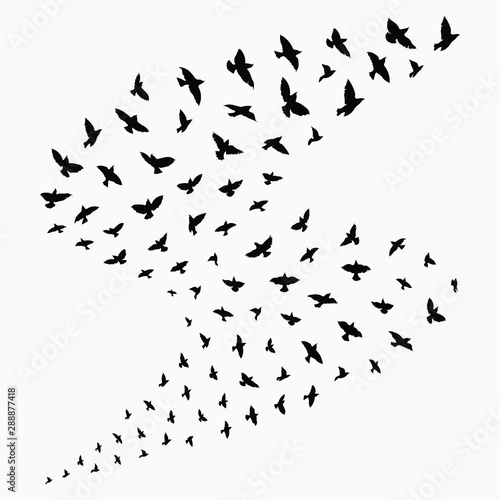 Silhouette of a flock of birds. Black contours of flying birds. Flying pigeons. Tattoo.