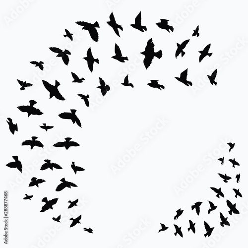 Silhouette of a flock of birds. Black contours of flying birds. Flying pigeons. Tattoo.