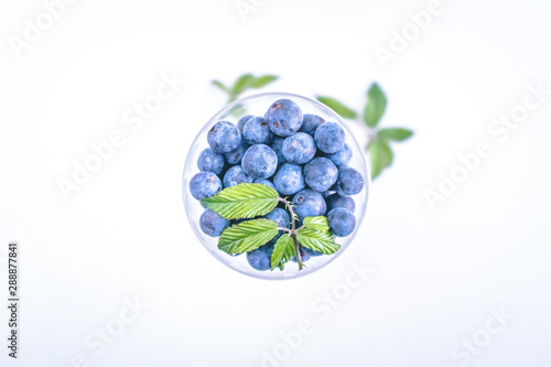 blue grapes in a bowl isolated on white background