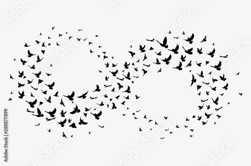 Silhouette of a flock of birds. Black contours of flying birds. Flying pigeons. Tattoo.