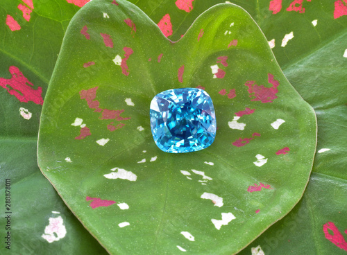 Blue zircon on a leave