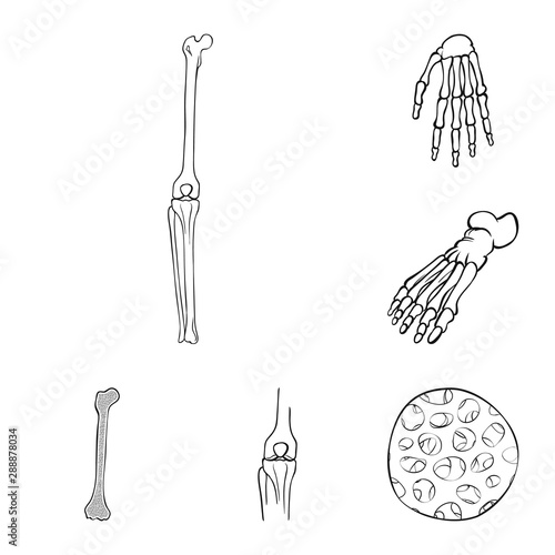 Vector design of medicine and clinic icon. Set of medicine and medical stock vector illustration.