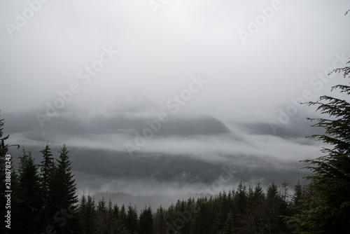 Foggy Cascades 
