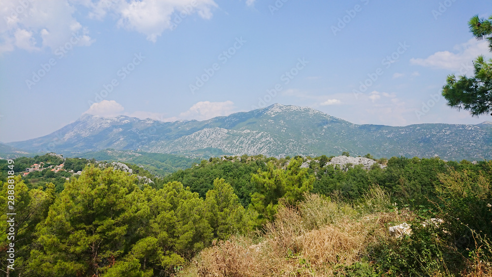 Biokovo mountain nature park and trees from Makarska Riviera, Dalmatia, Croatia