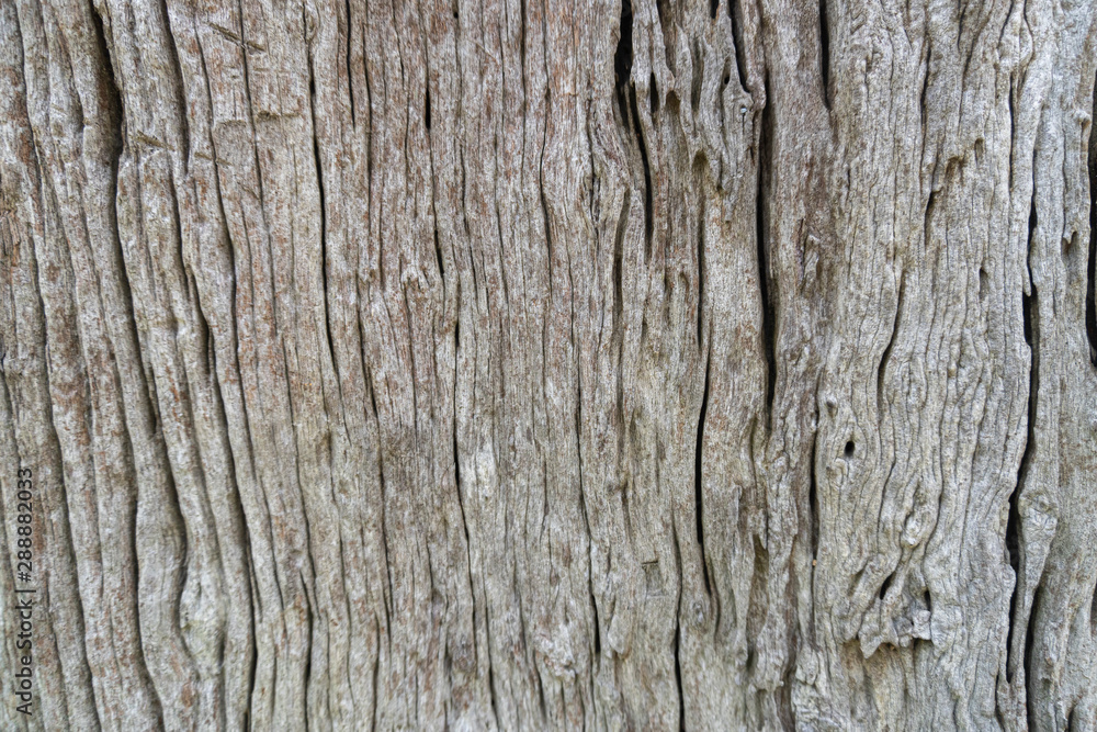 Decorative Old wooden wall and windows background texture, natural wallpaper pattern. selective focus Decorative Old wooden wall and windows background texture, natural wallpaper pattern. selective focus