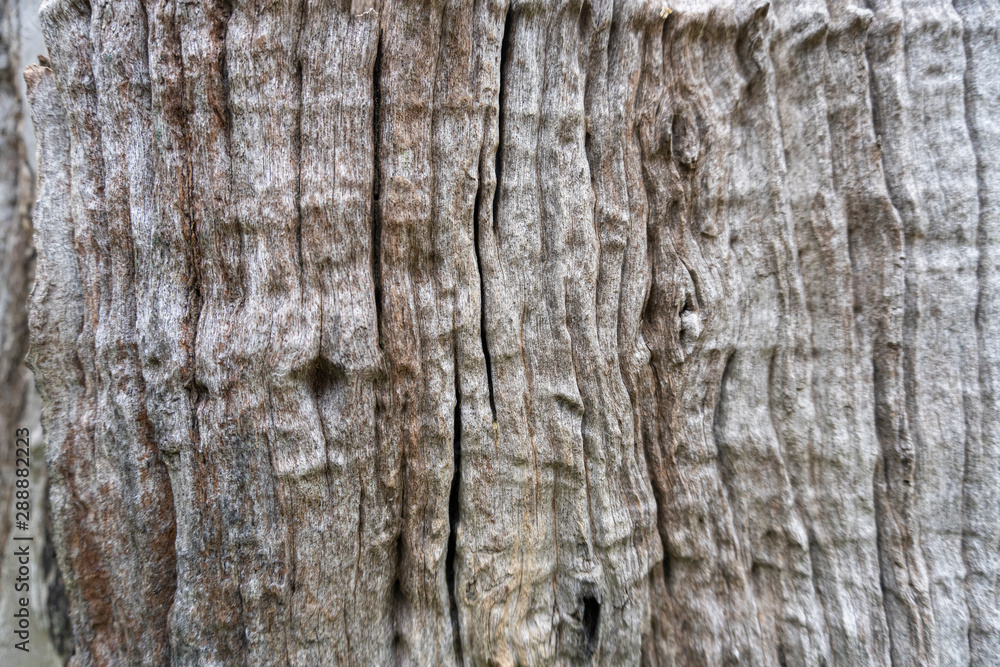 Decorative Old wooden wall and windows background texture, natural wallpaper pattern. selective focus Decorative Old wooden wall and windows background texture, natural wallpaper pattern. selective focus