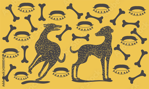 Photography pattern with dogs collars and bones