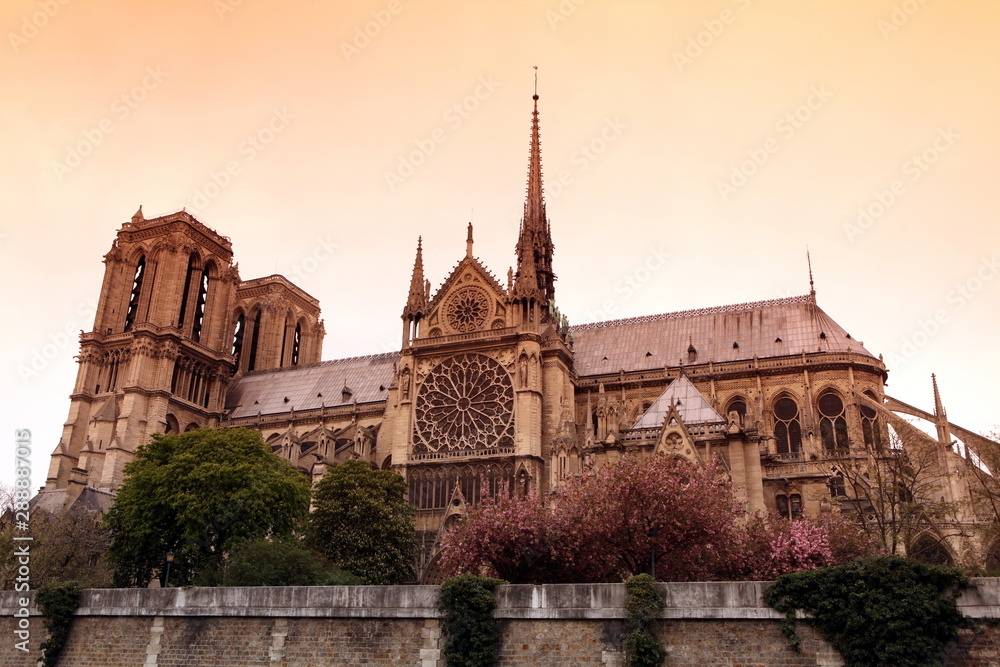 Fototapeta premium Notre Dame de Paris cathedral, France. Gothic architecture