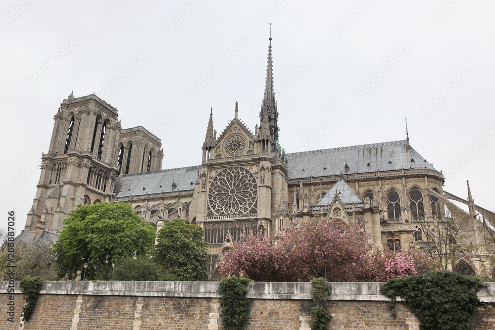 Notre Dame de Paris cathedral, France. Gothic architecture Notre Dame de Paris cathedral, France. Gothic architecture