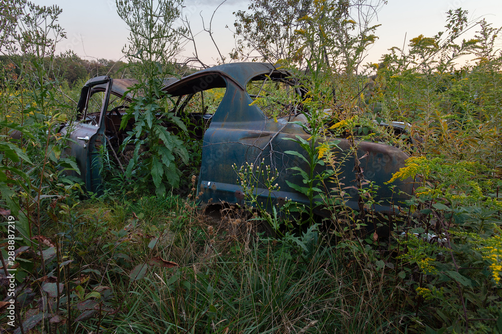 Damaged automobile, lost and forgotten, surrounded by weeds and shrubs in Lackawanna County, Pennsylvania. This antique wreckage was discovered in early 2019 when a small 10 acre area was cut down to  - obrazy, fototapety, plakaty 