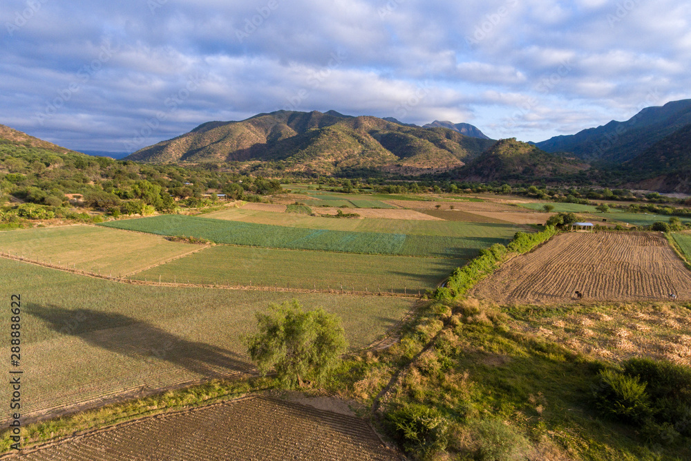 Peanut and Vegetable Family Farmlands in Mizque, Bolivia at Sunset Peanut and Vegetable Family Farmlands in Mizque, Bolivia at Sunset