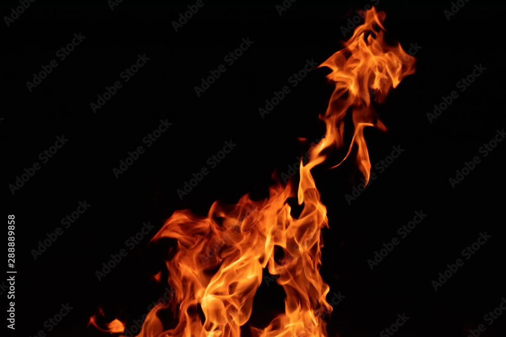 Fire flames on black background, texture, close up Fire flames on black background, texture, close up