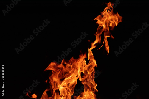 Fire flames on black background  texture  close up