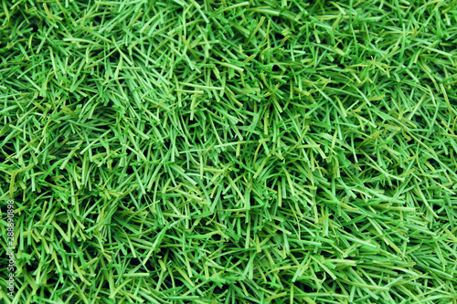 Green artificial grass. Close-up. Top view. Background. Texture.