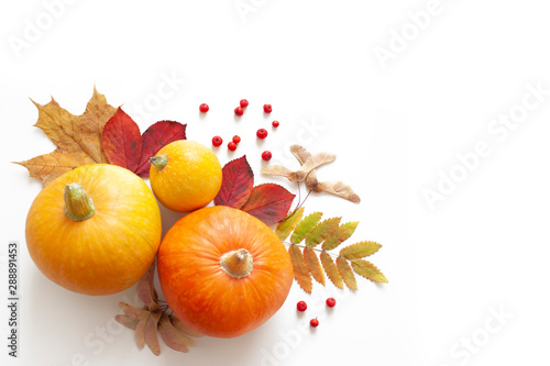 Autumn background. Thanksgiving Day. Pumpkins, autumn leaves and rowan berries. Autumn decor on a white background