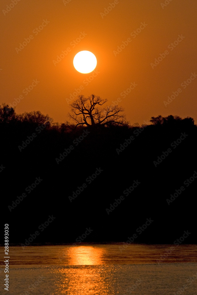 Fototapeta premium Fleuve Tsiribihina, Madagascar