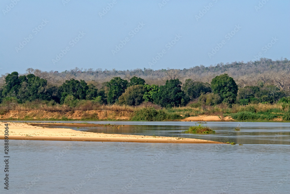 Obraz premium Fleuve Tsiribihina, Madagascar
