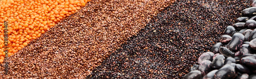 panoramic shot of assorted black beans  quinoa  red lentil and buckwheat