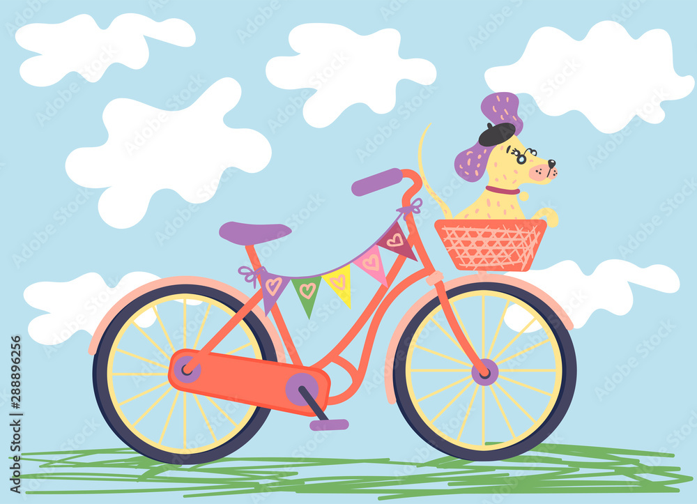 dog in a beret in a bicycle basket dog in a beret in a bicycle basket