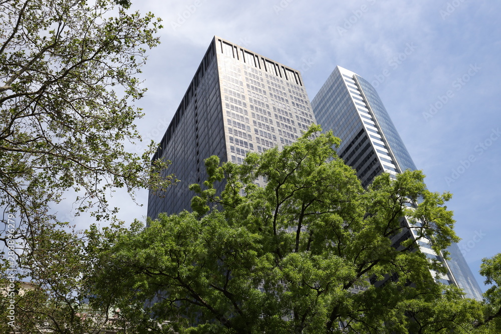 Buildings at Seaport in new York