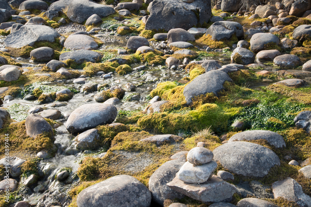 A trickling natural spring provides moisture for the flourishing moss among the river rock A trickling natural spring provides moisture for the flourishing moss among the river rock