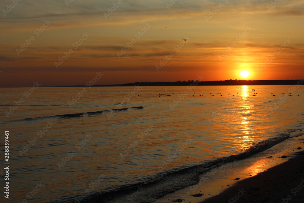 Obraz premium sunset in Koblevo (Ukraine)