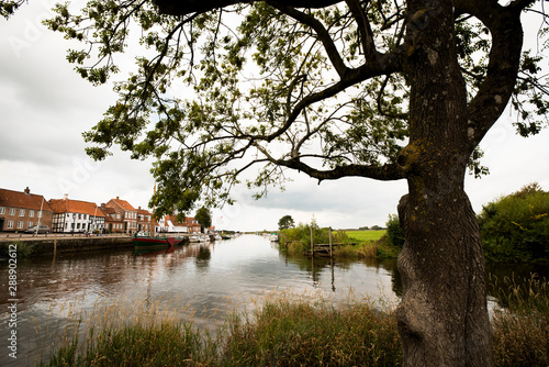 Blick durch einen Baum in den Hafen von Ribe in Dänemark