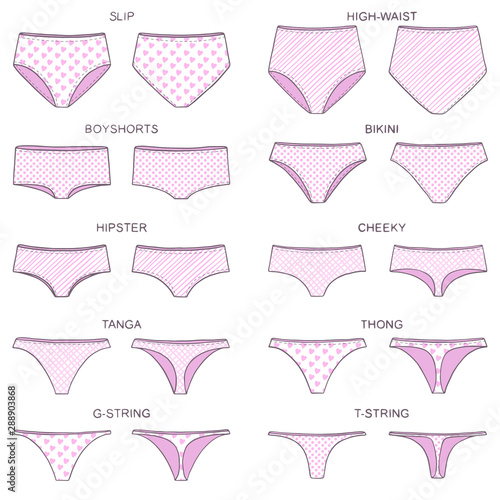 Stockvektorbilden Types of women's panties with various print. Front and  behind view. Set of underwear - slip, high waist, string, thong, tanga,  bikini, cheeky, hipster, boyshorts. Vector illustration
