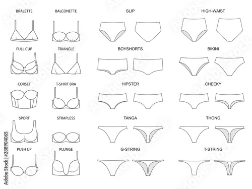 Types of women's panties  and bras. Set of underwear. Vector illustration