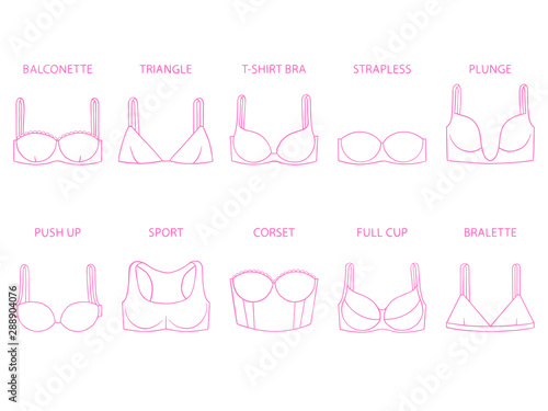 Types of women's bra isolated on white background. Set of brassieres - push up, sport, full cup, balconette, plunge, bralette, corset, triangle, t-shirt, strapless. Vector illustration