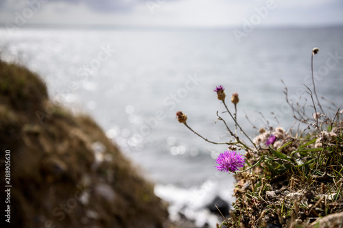 Landschaft auf Fyns Hoved