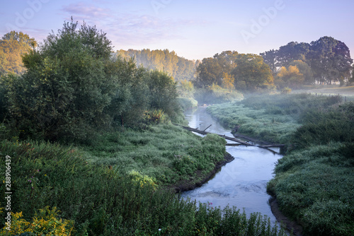 Bach im Morgenlicht