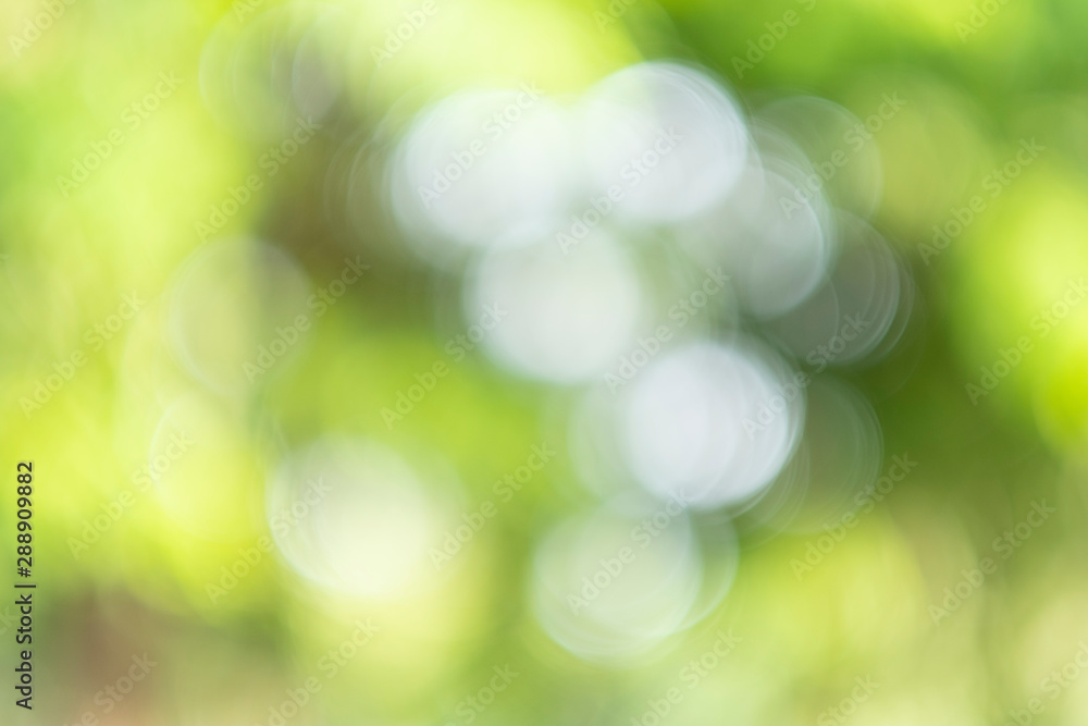 Green bokeh from tree and sky background is a shiny naturally occurring shadow that is not clear but beautiful.
