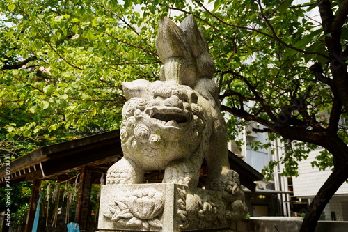 元三島神社の狛犬