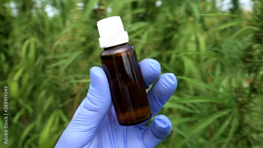 Cannabis oil concept Cannabis oil concept