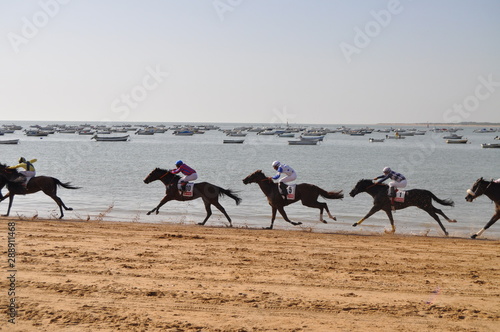 Sanlucar de Barrameda - Cavalli - Spagna