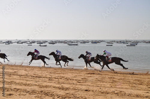 Sanlucar de Barrameda - Cavalli - Spagna