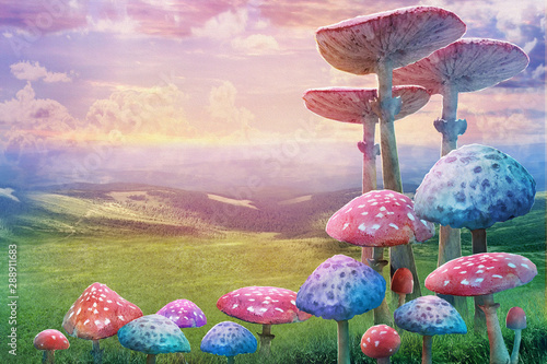 Stampa su tela fantastic wonderland landscape with mushrooms