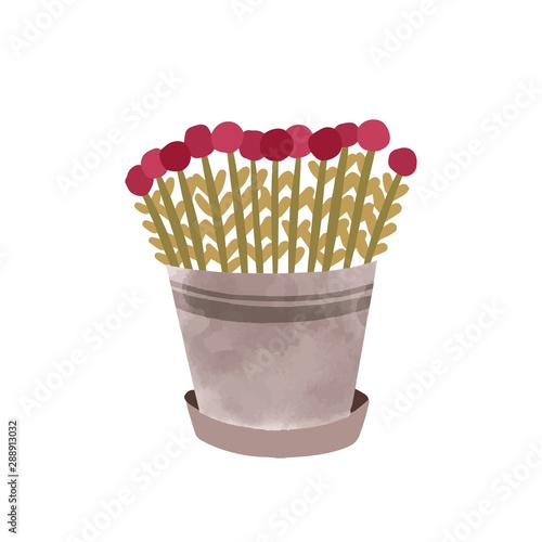 Flowers in pot hand drawn vector illustration