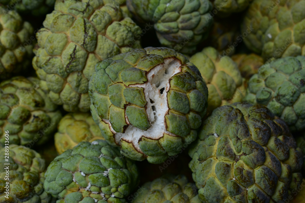 Fototapeta premium custard apple, custard apple from Thailand country