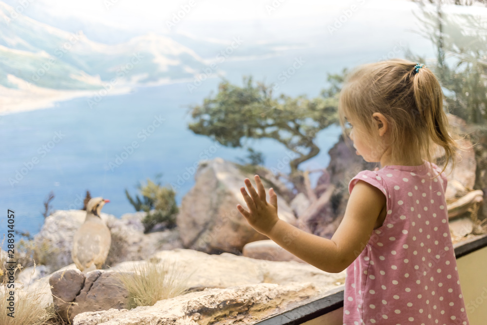 Fototapeta premium Cute girl in museum