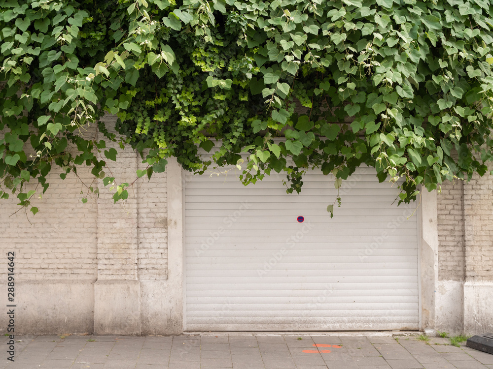 Fototapeta premium Parking entrance covered with vines