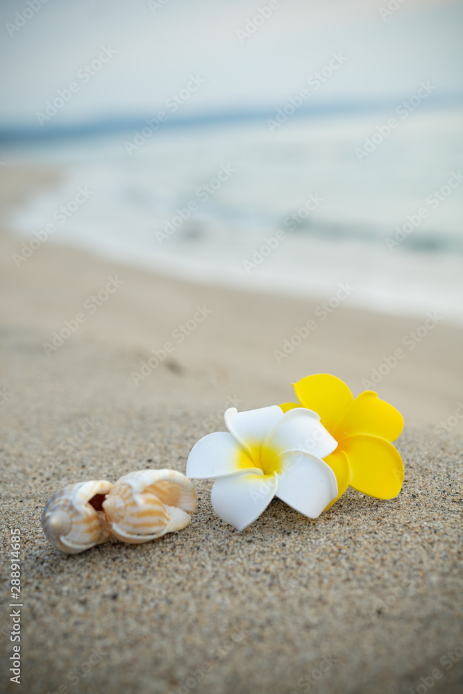 砂浜とプルメリアの花 砂浜とプルメリアの花