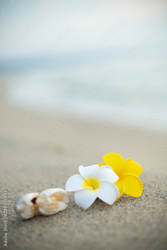 砂浜とプルメリアの花 砂浜とプルメリアの花