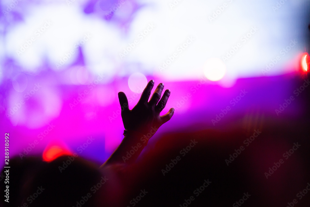 crowd of people having fun at concert - summer music festival crowd of people having fun at concert - summer music festival
