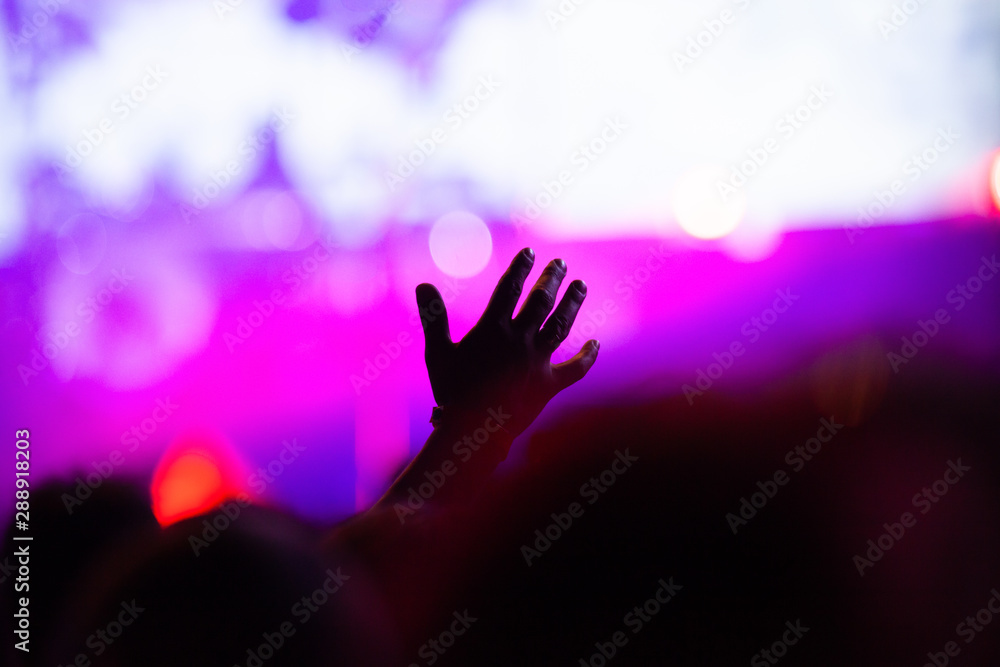 crowd of people having fun at concert - summer music festival crowd of people having fun at concert - summer music festival