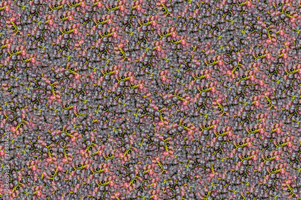 blaue Trauben Textur blaue Trauben Textur