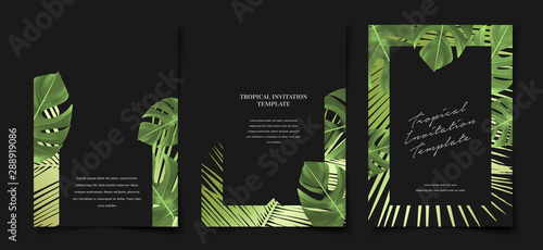 Set of elegant black and green summer tropical foliage monstera palm leaf cover layout template