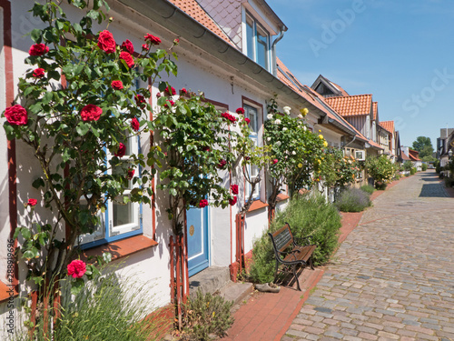 Quadro em tela mit Rosen geschmückte Altstadthäuser in Holm in der Schleiregion ( Deutschland)