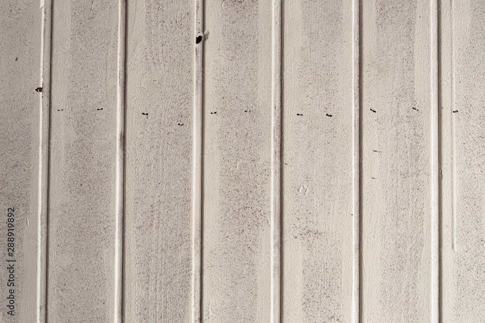 Madera Blanca - White Wood Madera Blanca - White Wood